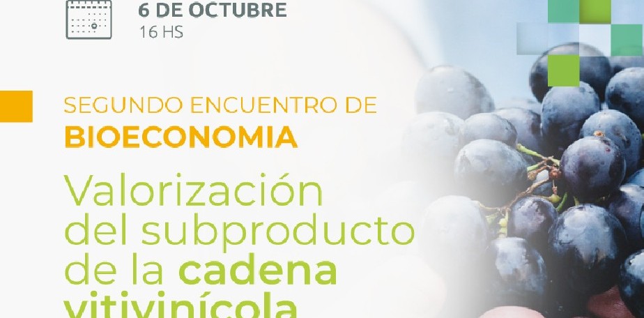 Imagen-II Encuentro de Bioeconomía: Valorización del subproducto de la cadena vitivinícola